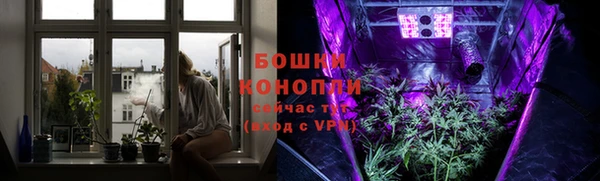 молекула духа Лабытнанги