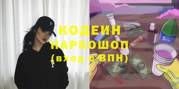 молекула духа Лабытнанги