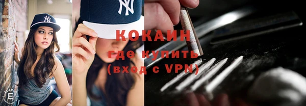 молекула духа Лабытнанги