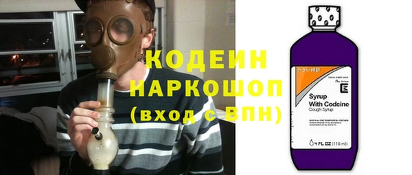 молекула духа Лабытнанги