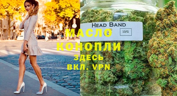 молекула духа Лабытнанги