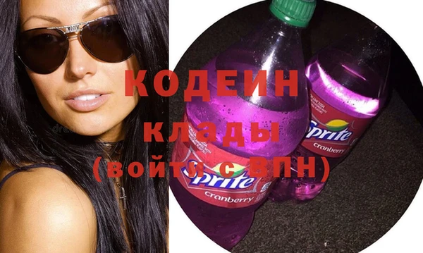 молекула духа Лабытнанги