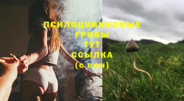mdma Лагань