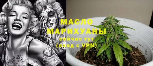 молекула духа Лабытнанги
