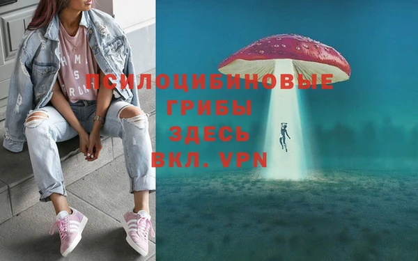 mdma Лагань
